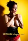 British () 34 bust size companion, naughty, listead in english gallery